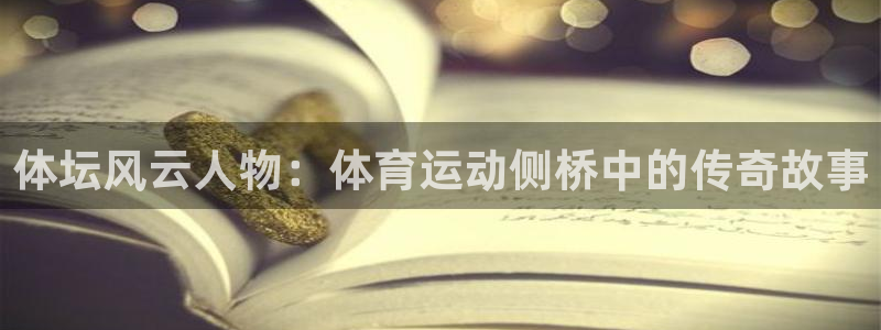 Bsport体育网页版链接