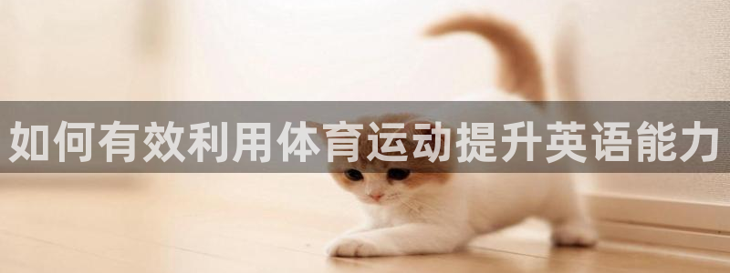 bsport体育app下载安装