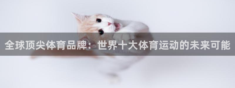 bsport体育平台：全球顶尖体育品牌：世界十大体育运动的未来可能