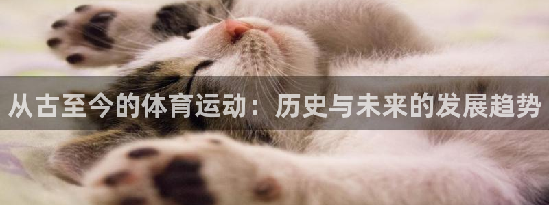 Bsport体育网页版链接：从古至今的体育运动：历史与未来的发展趋势
