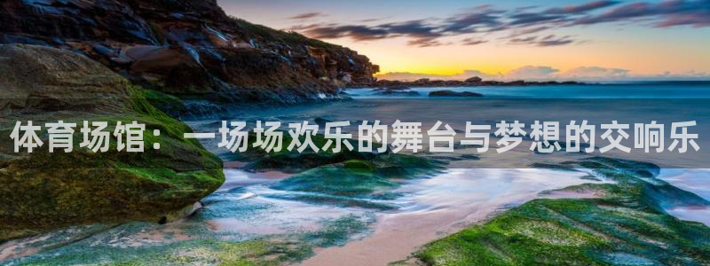 bsport体育在线入口：体育场馆：一场场欢乐的舞台与梦想的交响乐